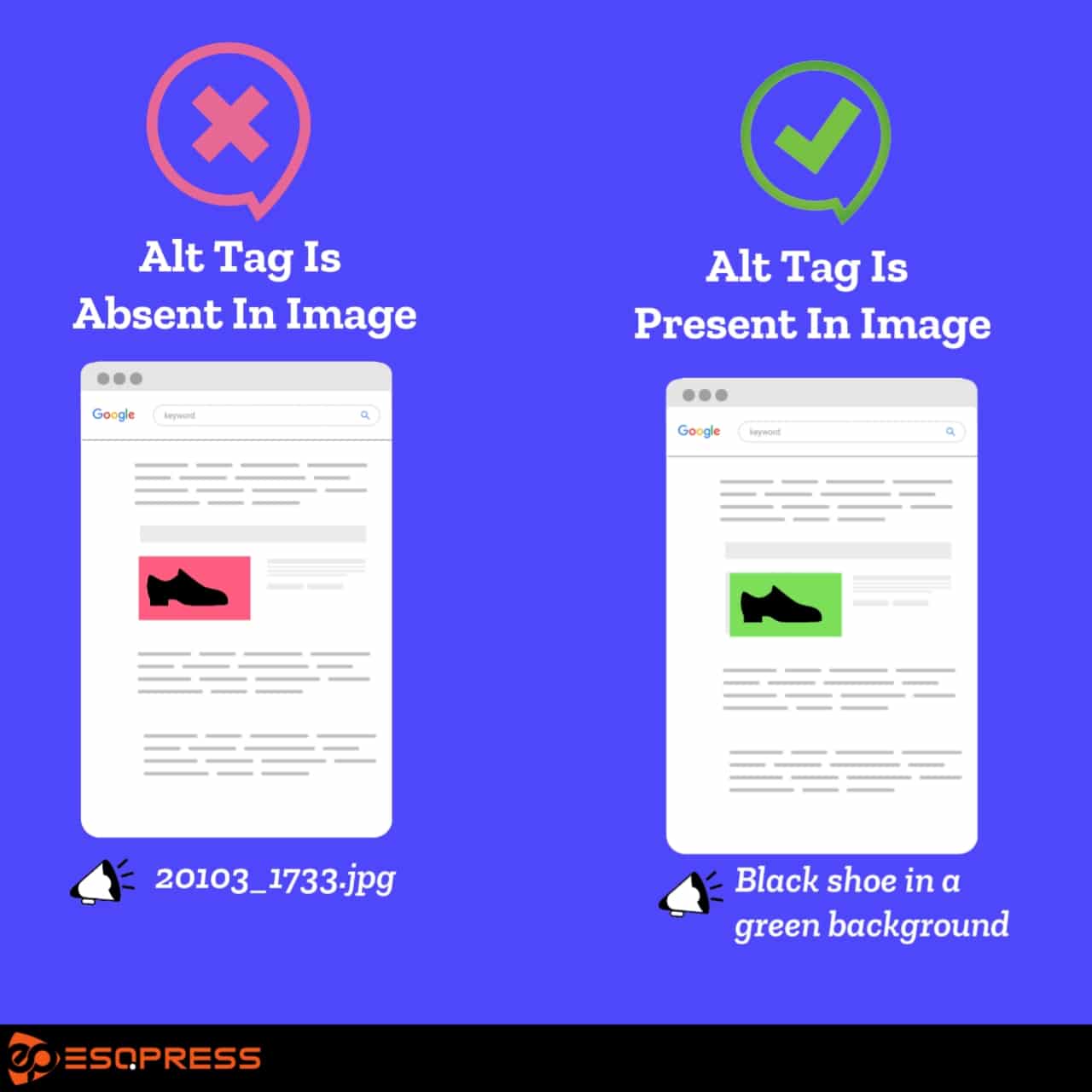 Image with alt tag and an image without alt tag