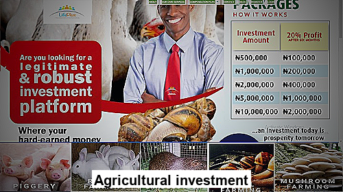 Agricultural investment