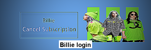 Screenshot of Billie login page