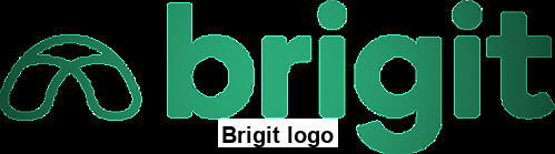 Brigit logo