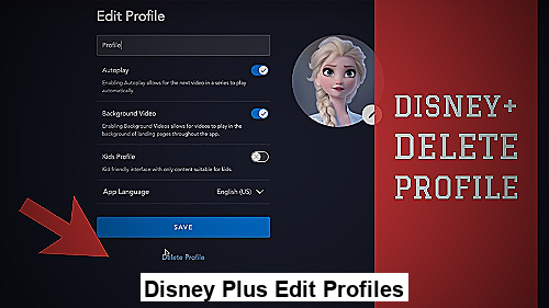 Disney Plus Edit Profiles