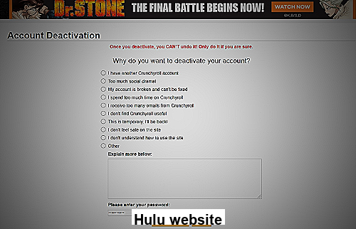 Screenshot of Hulu website