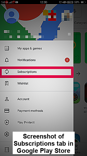 Screenshot of Subscriptions tab in Google Play Store