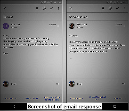 Screenshot of email response