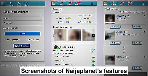 Screenshots of Naijaplanet's features