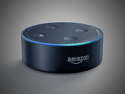 Amazon Echo Dot - amazon low flying hawk