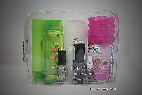 Travel Toiletry Bag - can you order amazon to a hotel